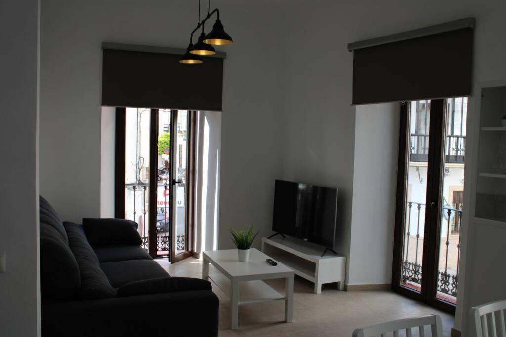 Centro Lorenzo Borrego Apartment